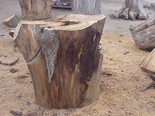 Bell shaped pofile. A TREE...